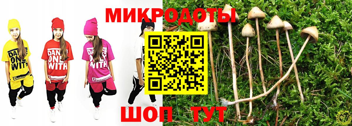 Псилоцибиновые грибы Psilocybe Верхняя Пышма