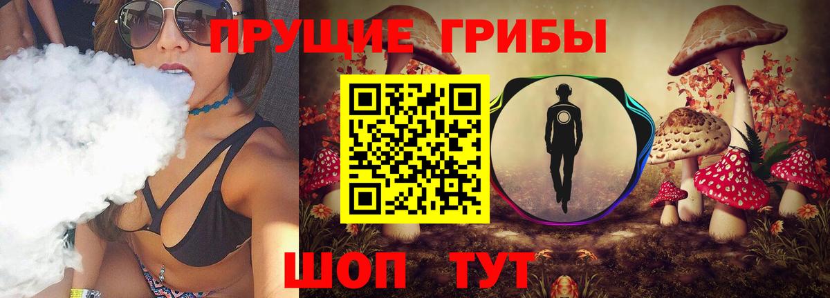 Псилоцибиновые грибы Psilocybe  Вход с VPN  Галлюциногенные грибы MAGIC MUSHROOMS  Верхняя Пышма 